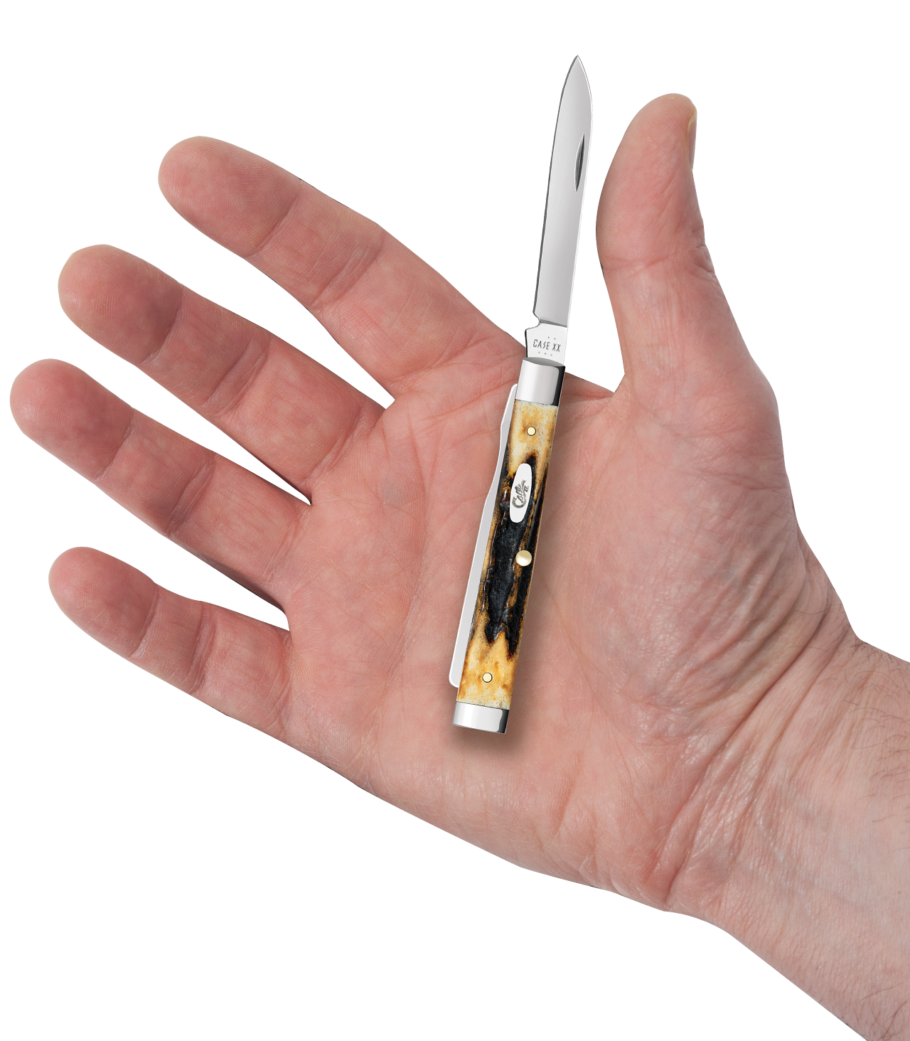 Case Baby Doc Genuine Stag Model # 1083 Pattern (5282SP SS) with Hand Size Comparison