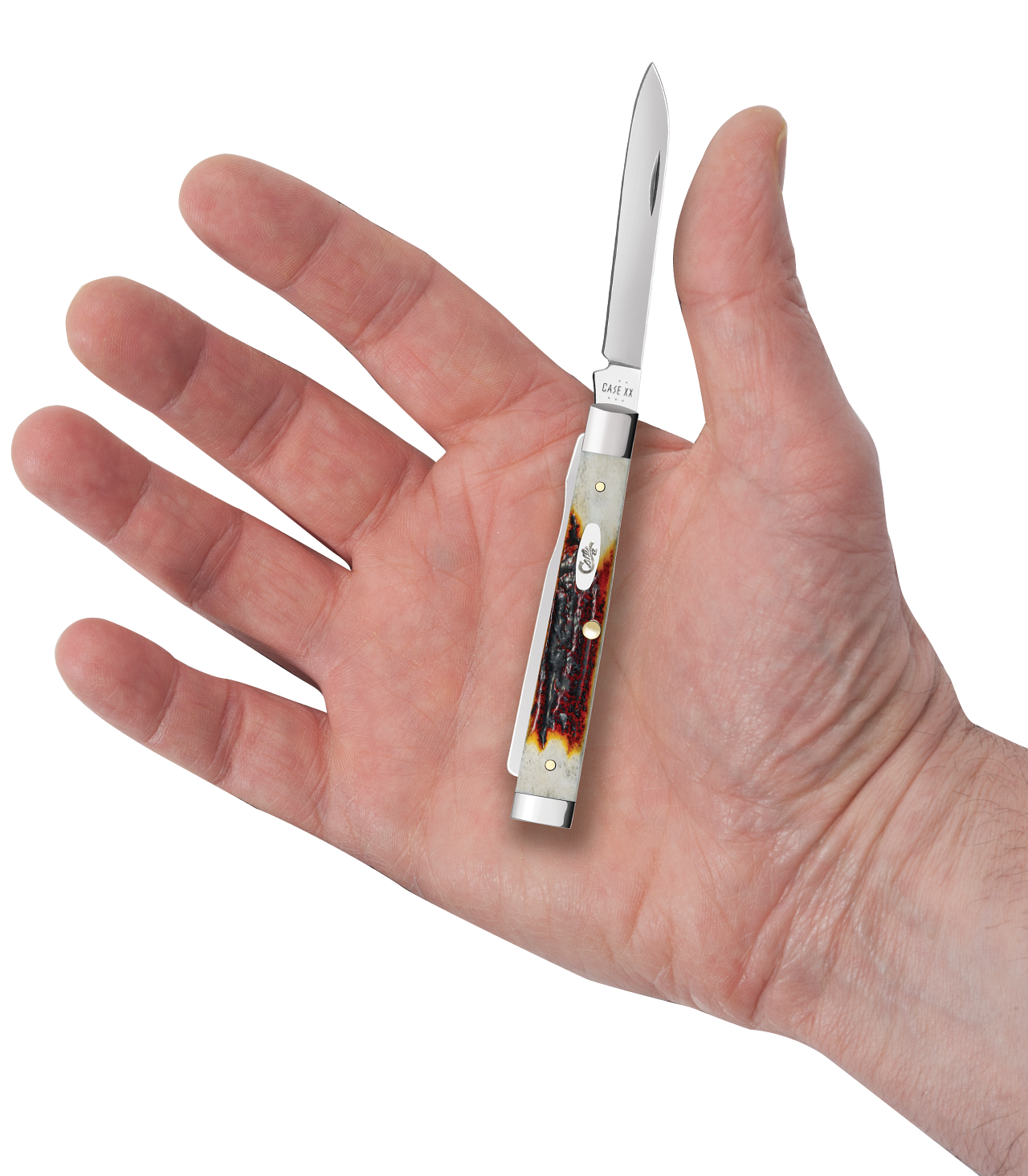 Case Baby Doc Ichthus Seafoam Green G-10 Model # 18108 Pattern (10282SP SS) Hand Compare