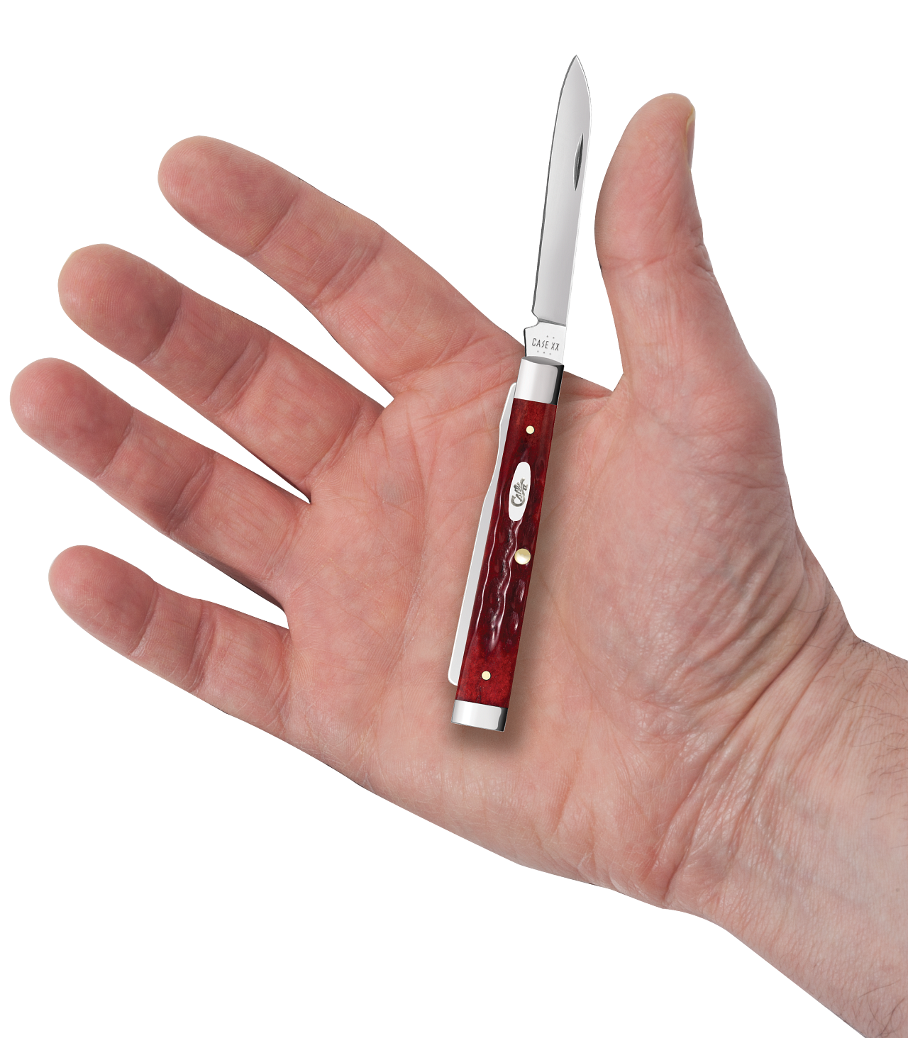 Case Baby Doc Pocket Worn Old Red Bone Model # 10308 Pattern (6282SP SS) Hand Size Compare