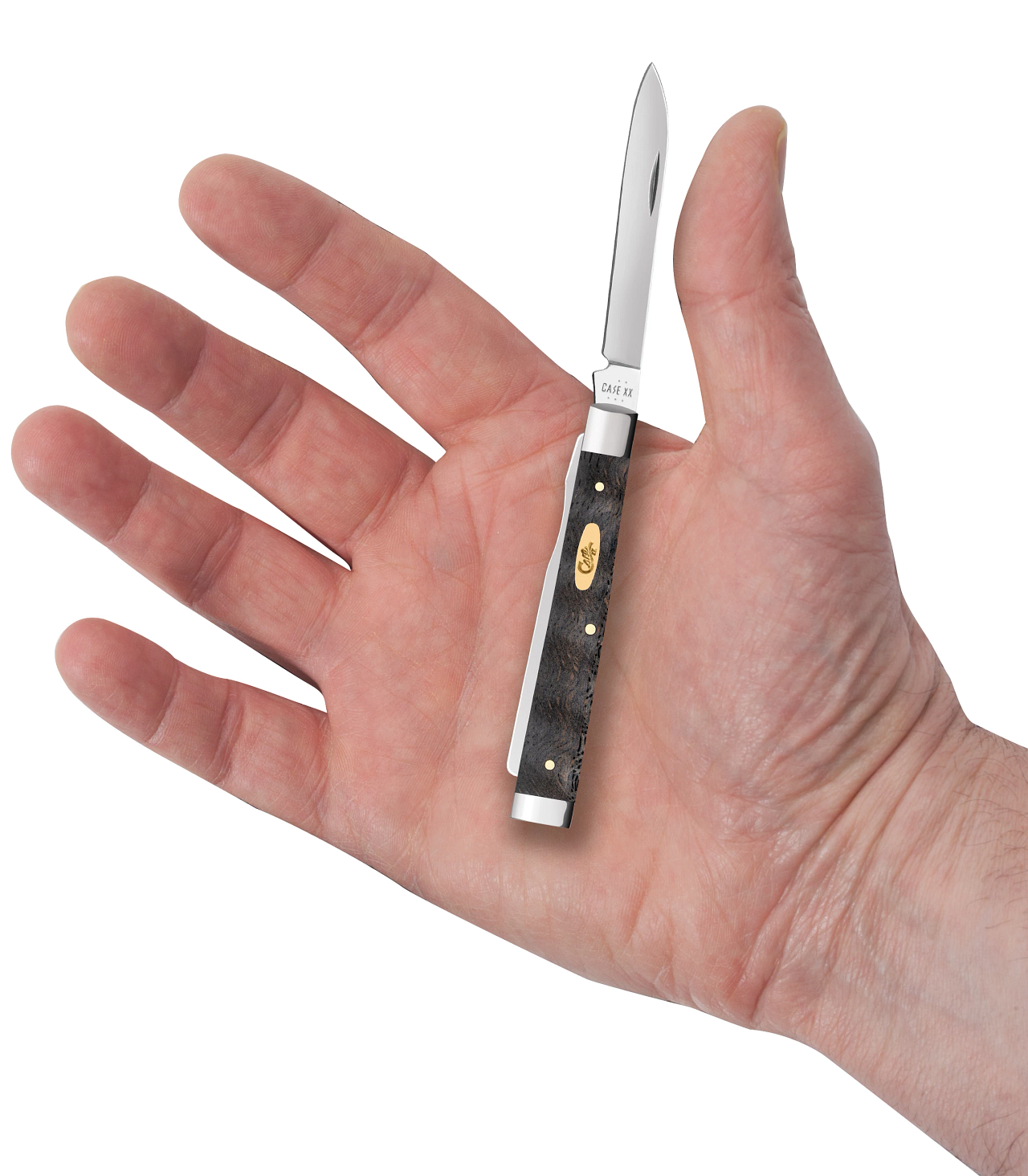 Case Baby Doc Smooth Black Curly Oak Wood Model # 14007 Pattern (7282SP SS) with hand for comparison