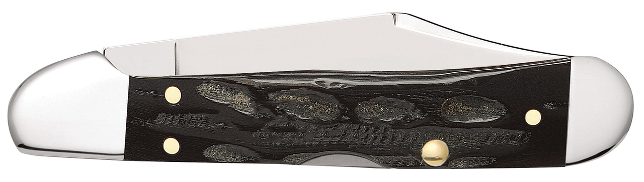 Case Mini CopperLock Buffalo Horn Model # 65022 Pattern (BH1749L SS)
