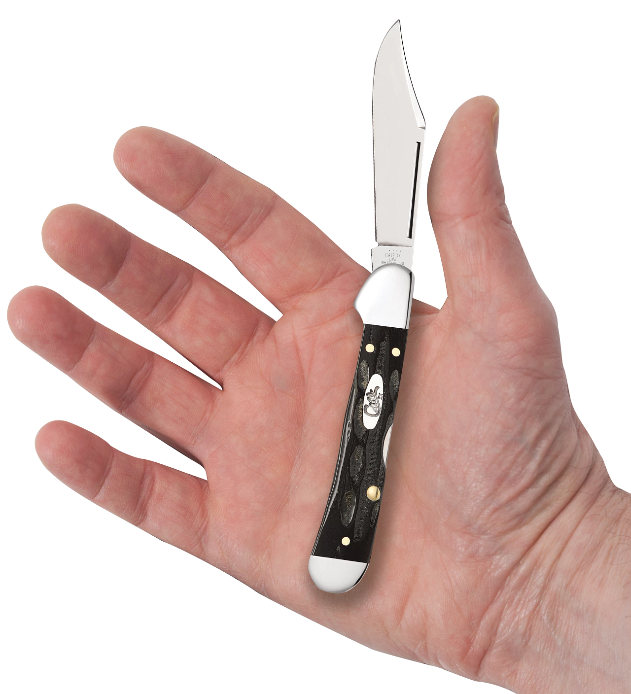 Case Mini CopperLock Buffalo Horn Model # 65022 Pattern (BH1749L SS)