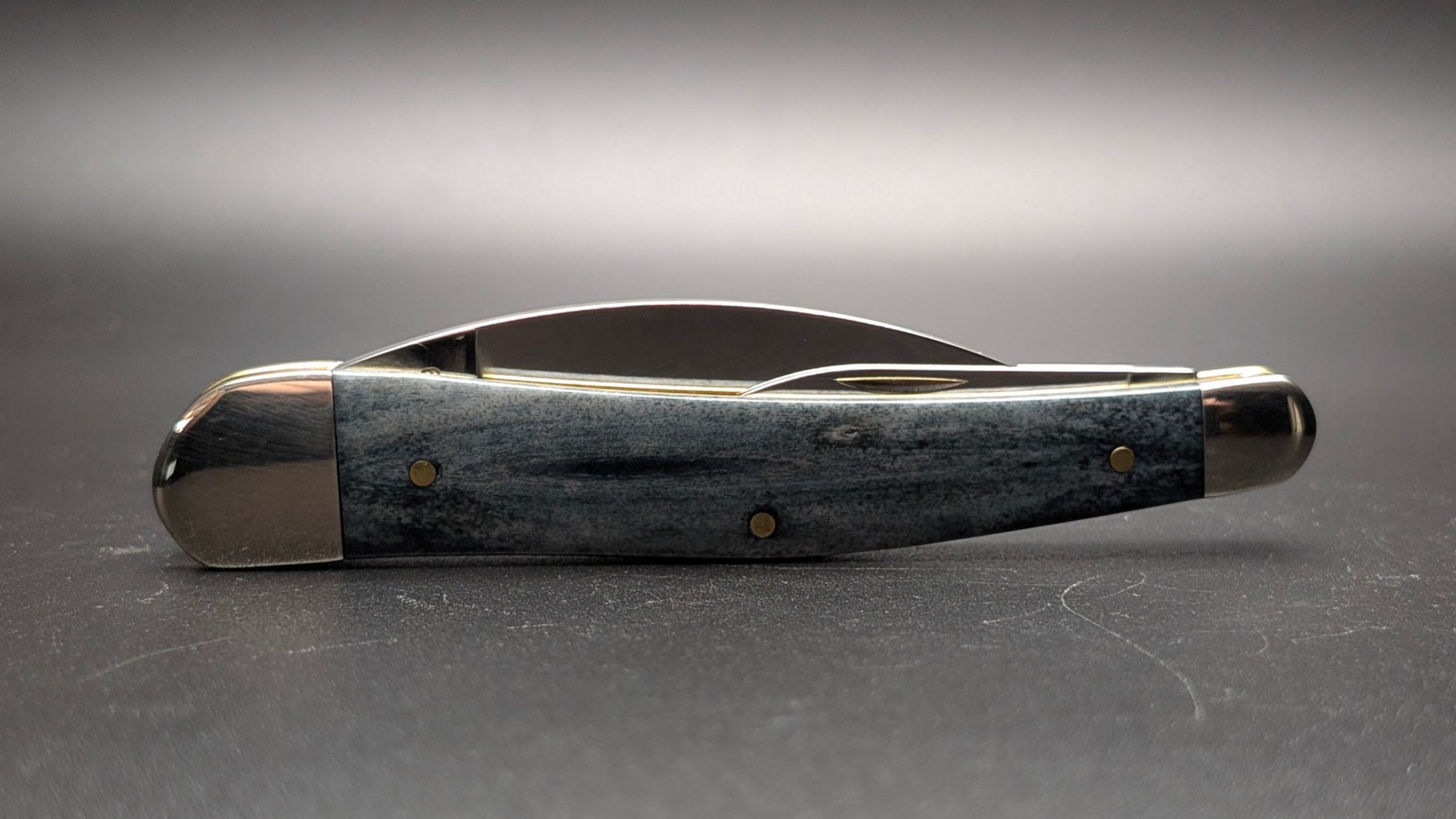 Case Gray bone Seahorse Whittler closed Back
