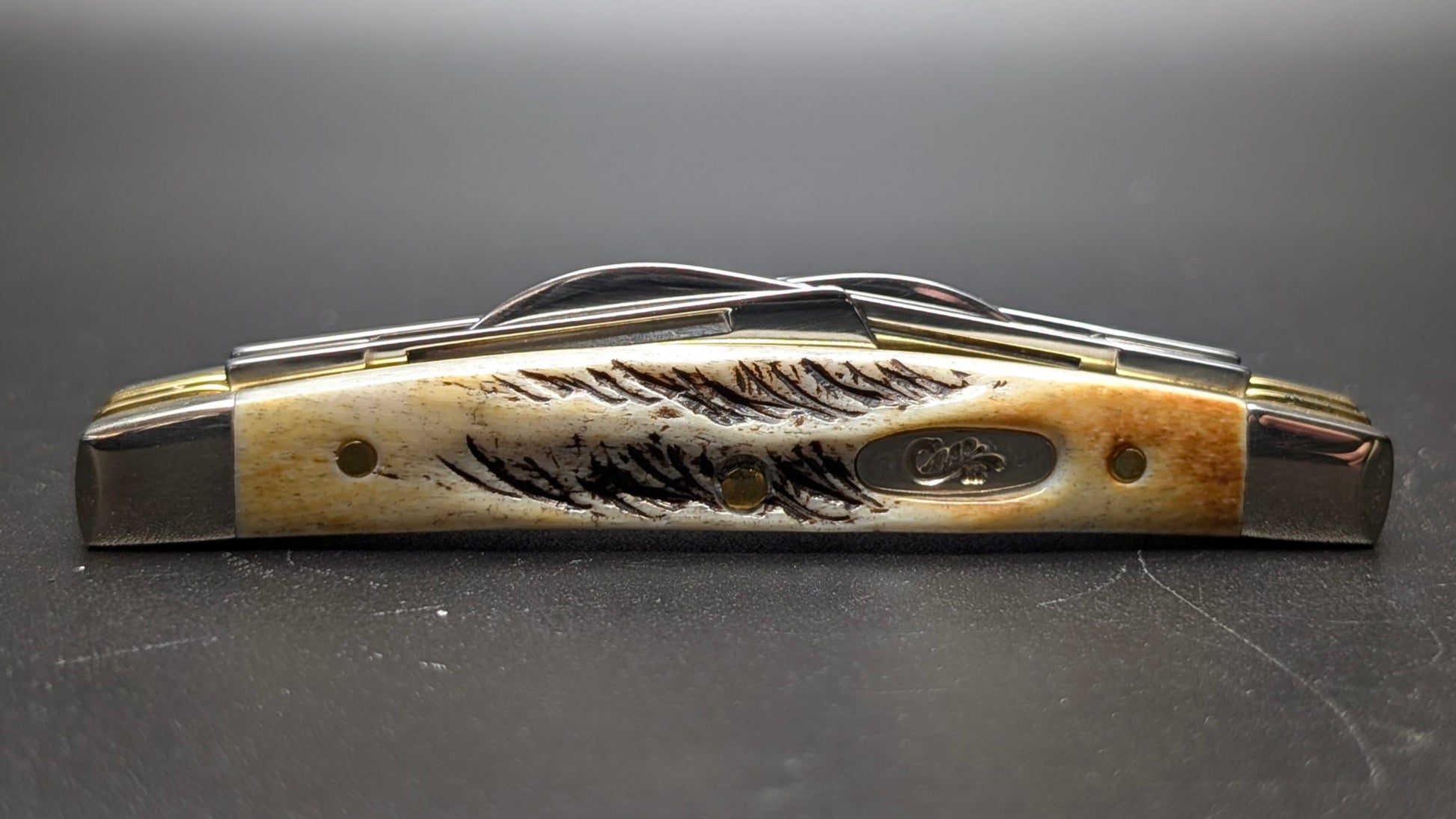 Case Small Congress 6.5 BoneStag Model # 65337 Pattern (6.5468 SS)