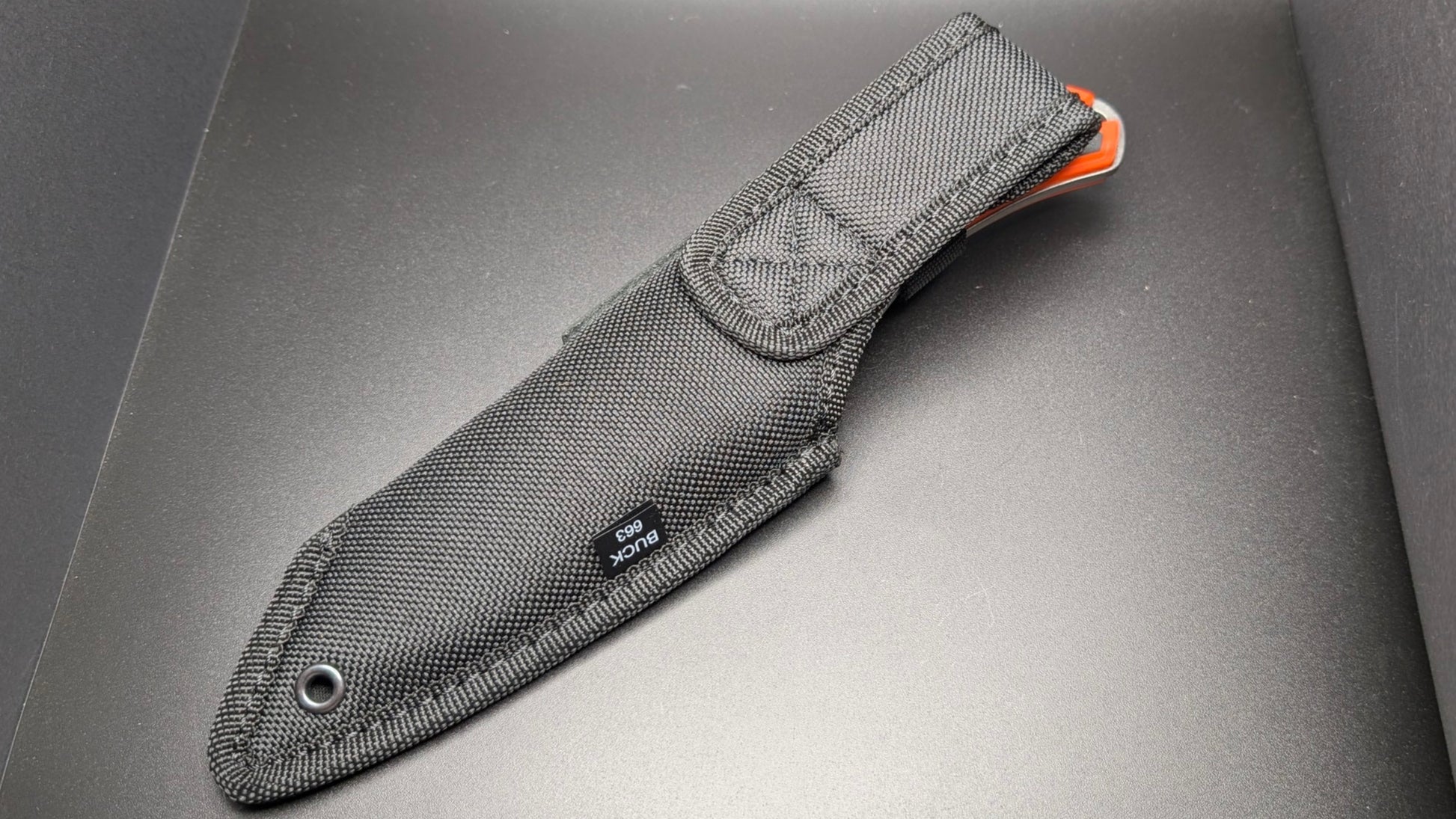 Back Of Sheath
