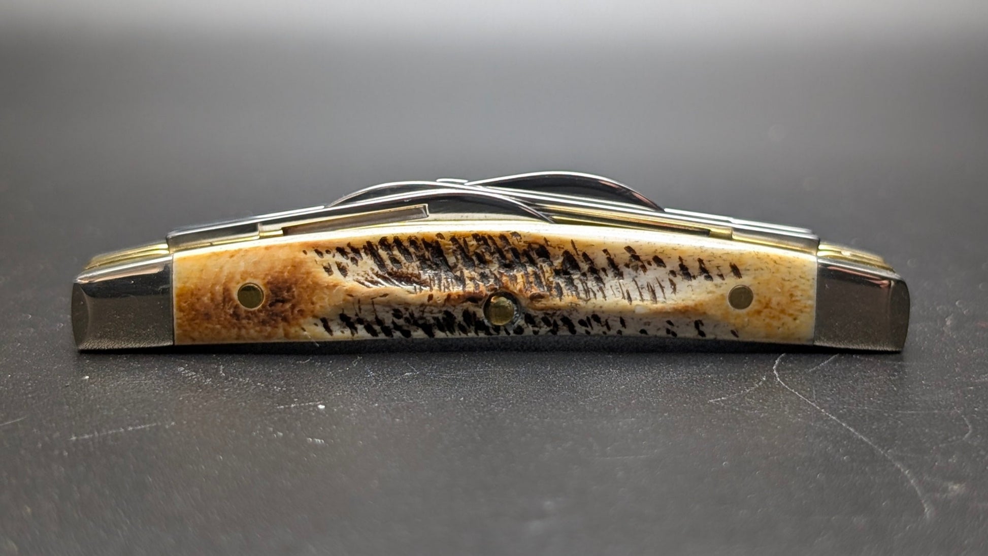 Case Small Congress 6.5 BoneStag Model # 65337 Pattern (6.5468 SS)