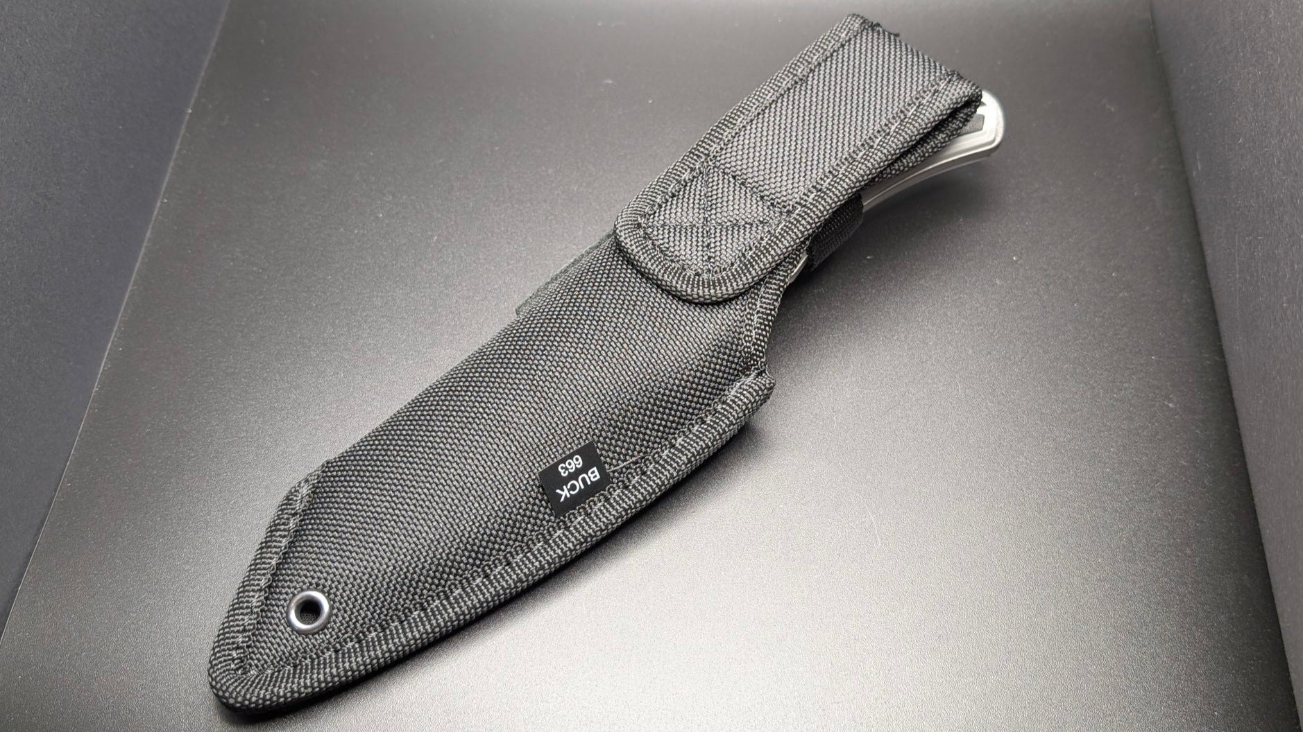Back in sheath