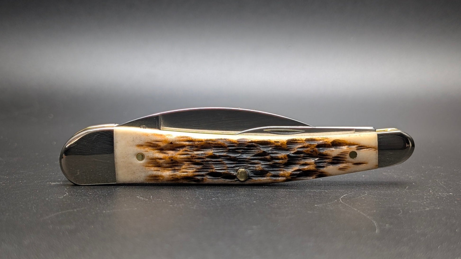 Pocket knife with Amber Bone handle on a gray background